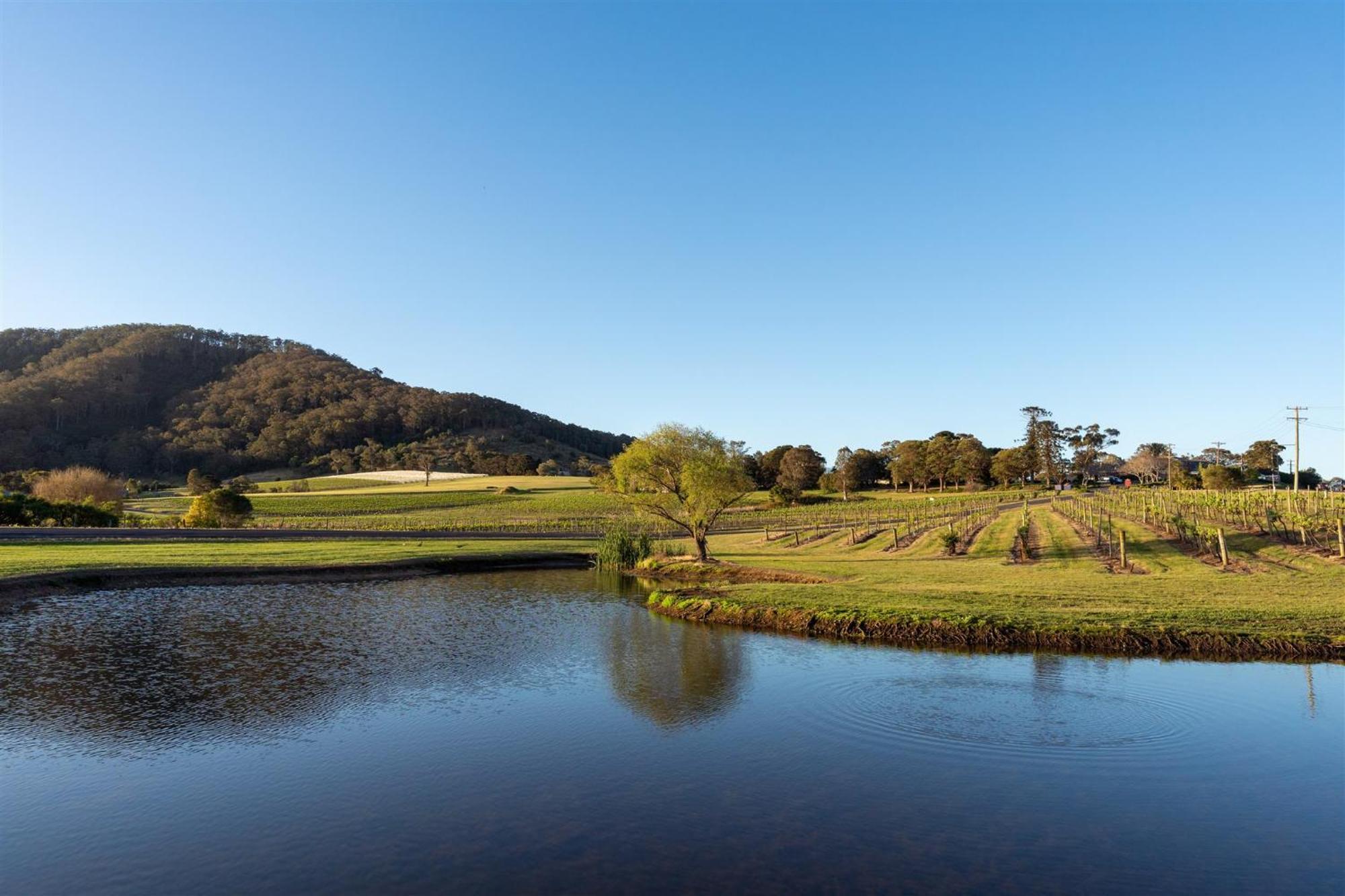 Coolangatta Estate Shoalhaven Heads Motel ภายนอก รูปภาพ