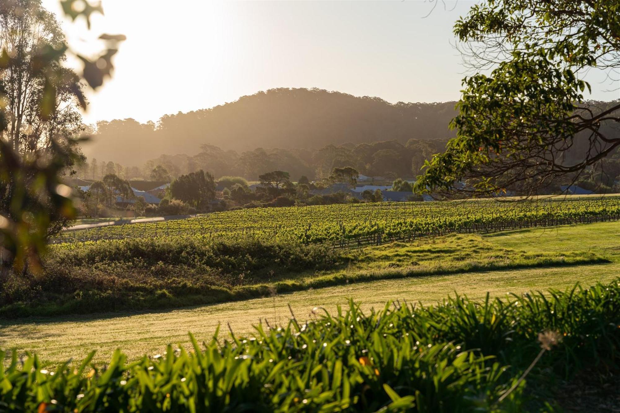 Coolangatta Estate Shoalhaven Heads Motel ภายนอก รูปภาพ