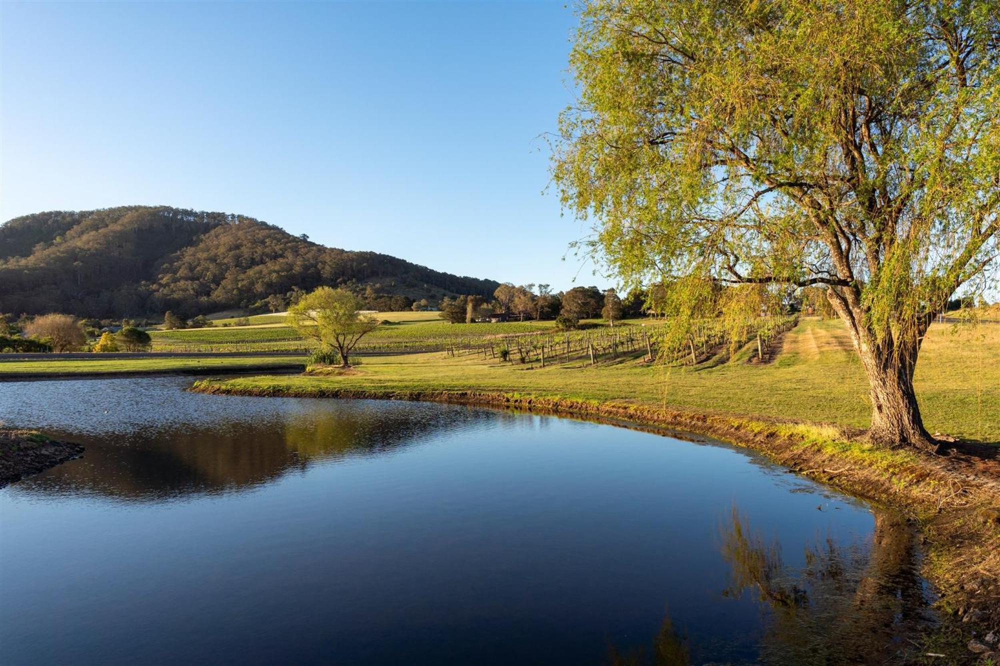 Coolangatta Estate Shoalhaven Heads Motel ภายนอก รูปภาพ